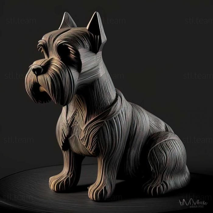 Zwergschnauzer dog